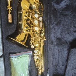 Professional Saxophone Curved 