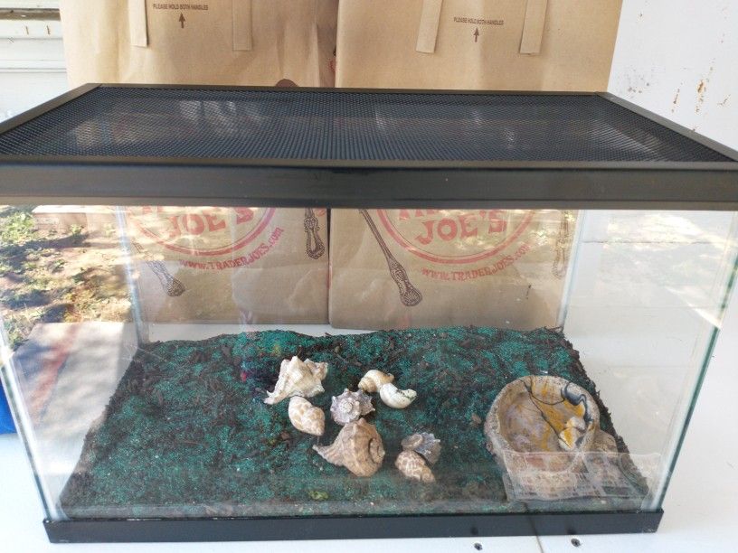 Hermit Crab 10 Gallon Tank, Shells & Sand Mix