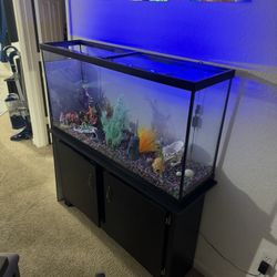 Fish Tank 60 With Dresser Counter for Sale in Riverview, FL - OfferUp Fish Tank 60 With Dresser Counter for Sale in Riverview, FL - OfferUp