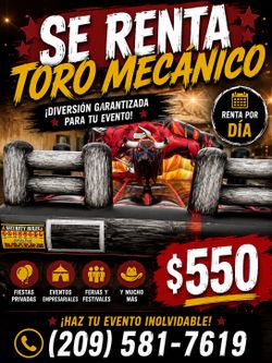 Toro mecánico