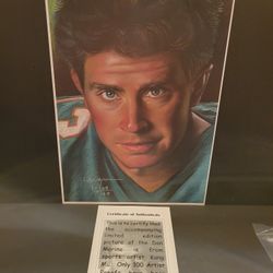 Miami Dolphins Dan marino print signed by the artist limited edition