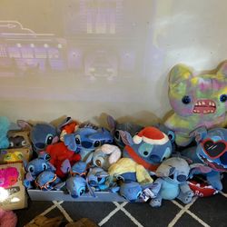 Bear Collection 