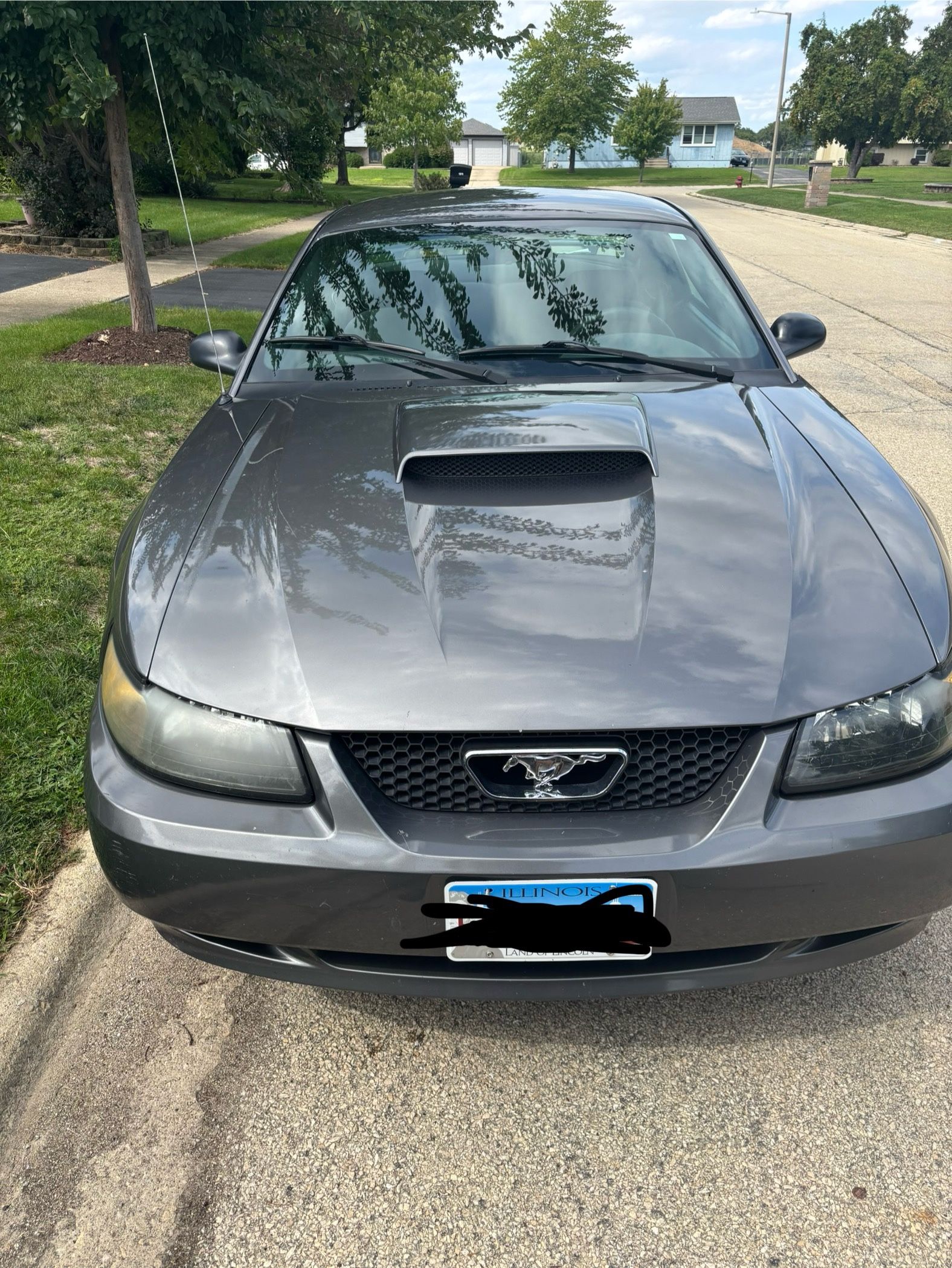 2004 Ford Mustang