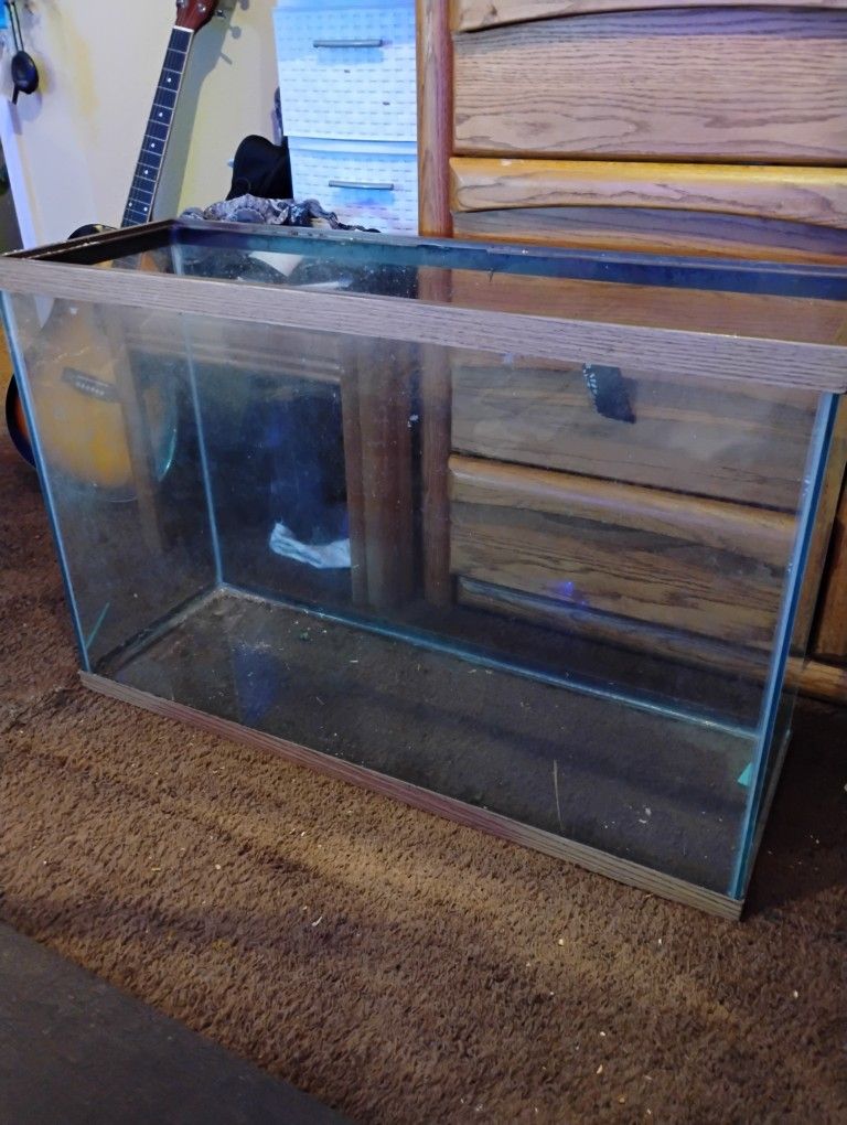 Huge Fish Tank 65 gal