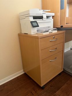 File cabinet and printer