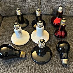 9 Reptile/ Animal Heat Bulbs