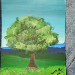 picture of a beautiful tree