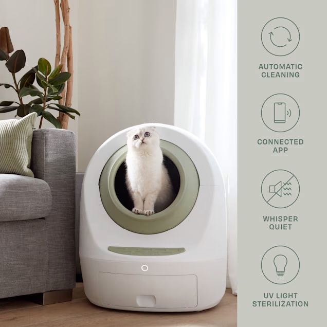 Litter Box Self Cleaning 