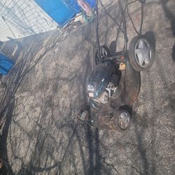 2 lawn more last year worked ,cannot use any more due to shoulder pain.$ 20 each