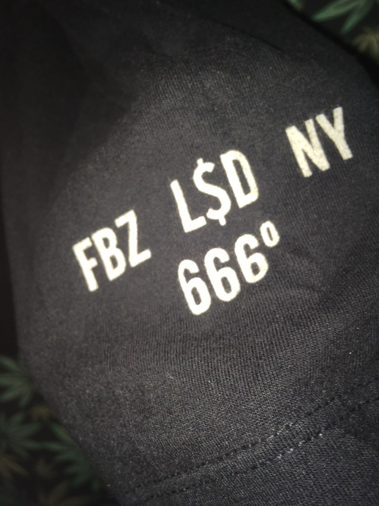 Flatbush zombies