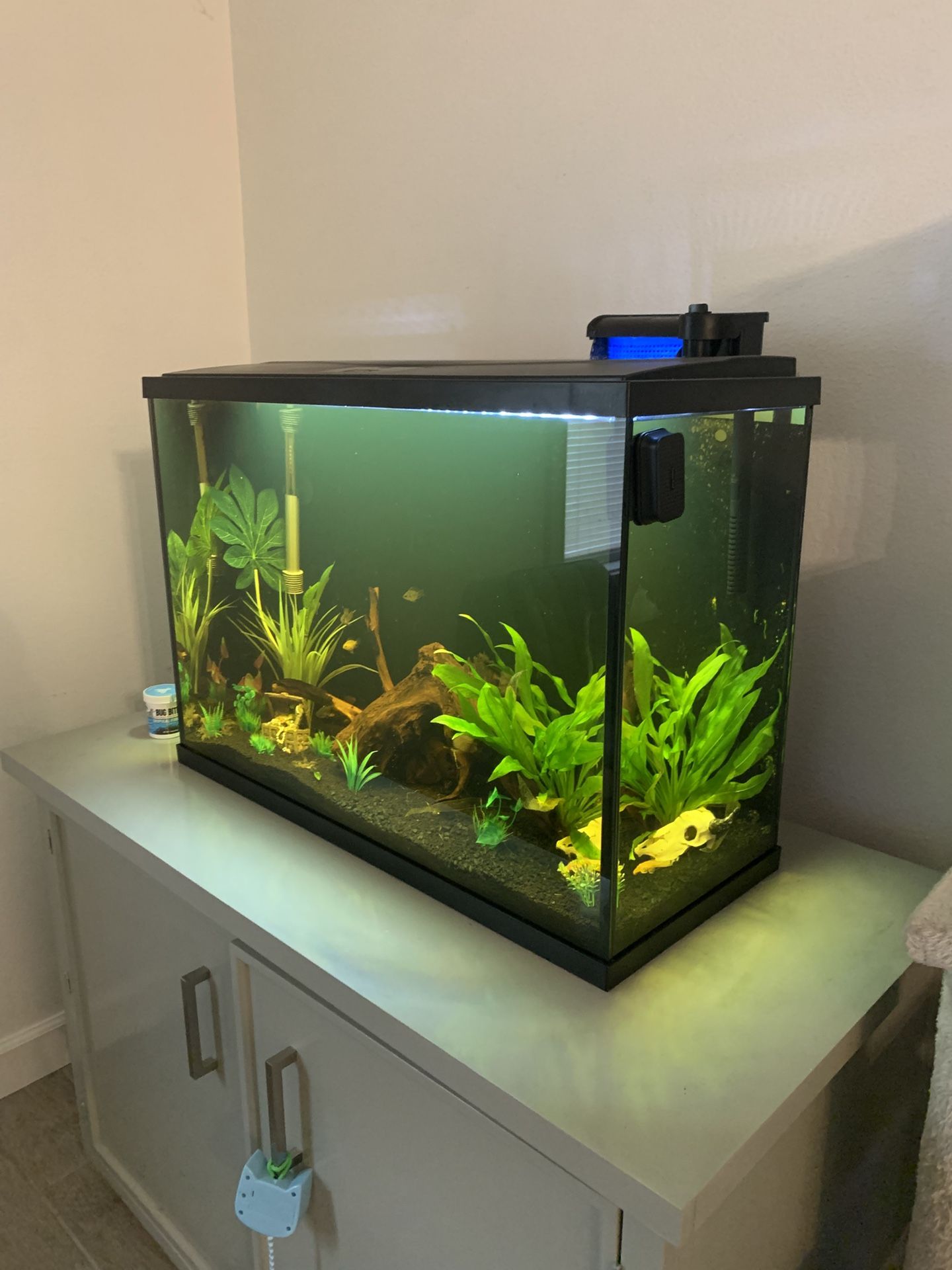 29 Gallon Top Fin Fish Tank