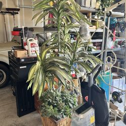 Faux Plant (6ft Tall)