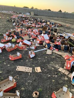 Free Cardboard