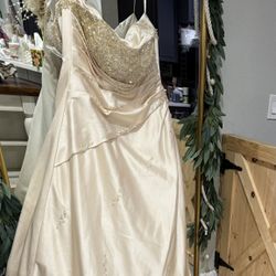 Plus Size 1x/16 Ivory Gown 