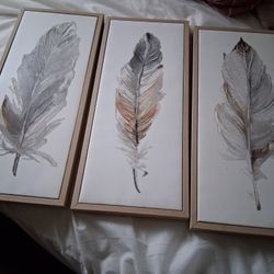 Brand New Feather Print Wall Pictures.
