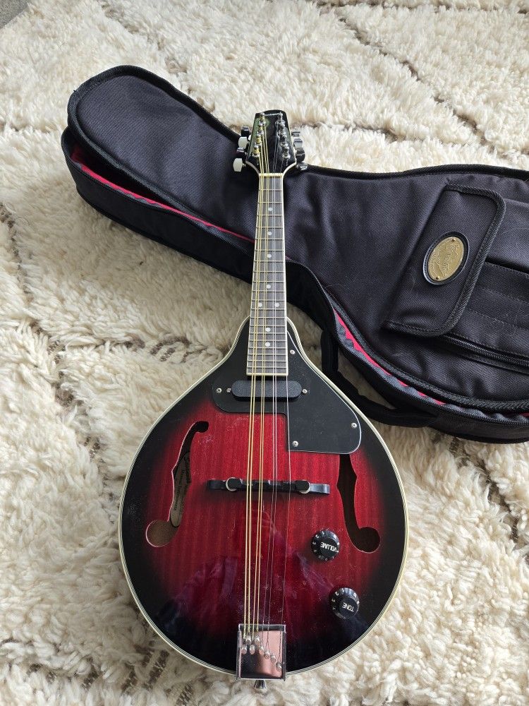 Acoustic-electric mandolin