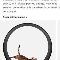 One Fast Cat Exercise wheel