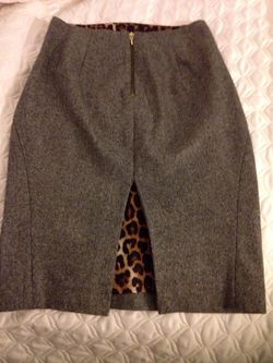 Express Pencil skirt