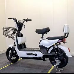 High-Performance Electric Bike – 48V / 500W / Dual Seat – Brand New