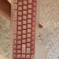 Cat Keyboard