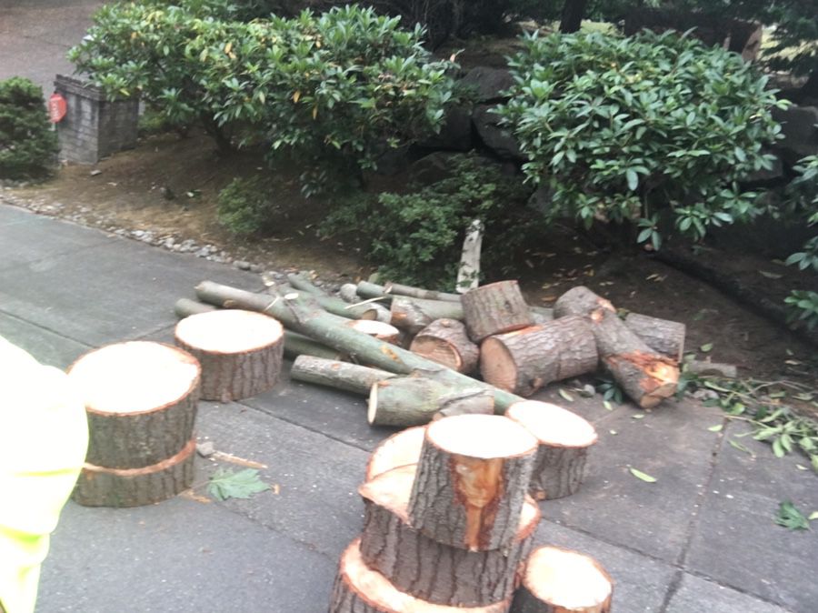 Small free fire wood delivery Now ..