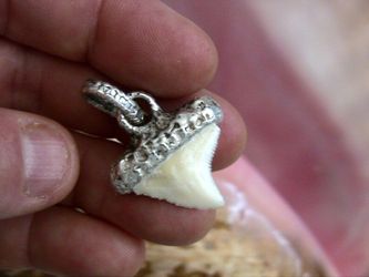 Bull Shark Tooth Pendant on .999 pure silver
