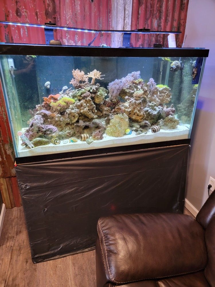 Saltwater Aquarium 120 Gallon Drilled Dual Overflows.