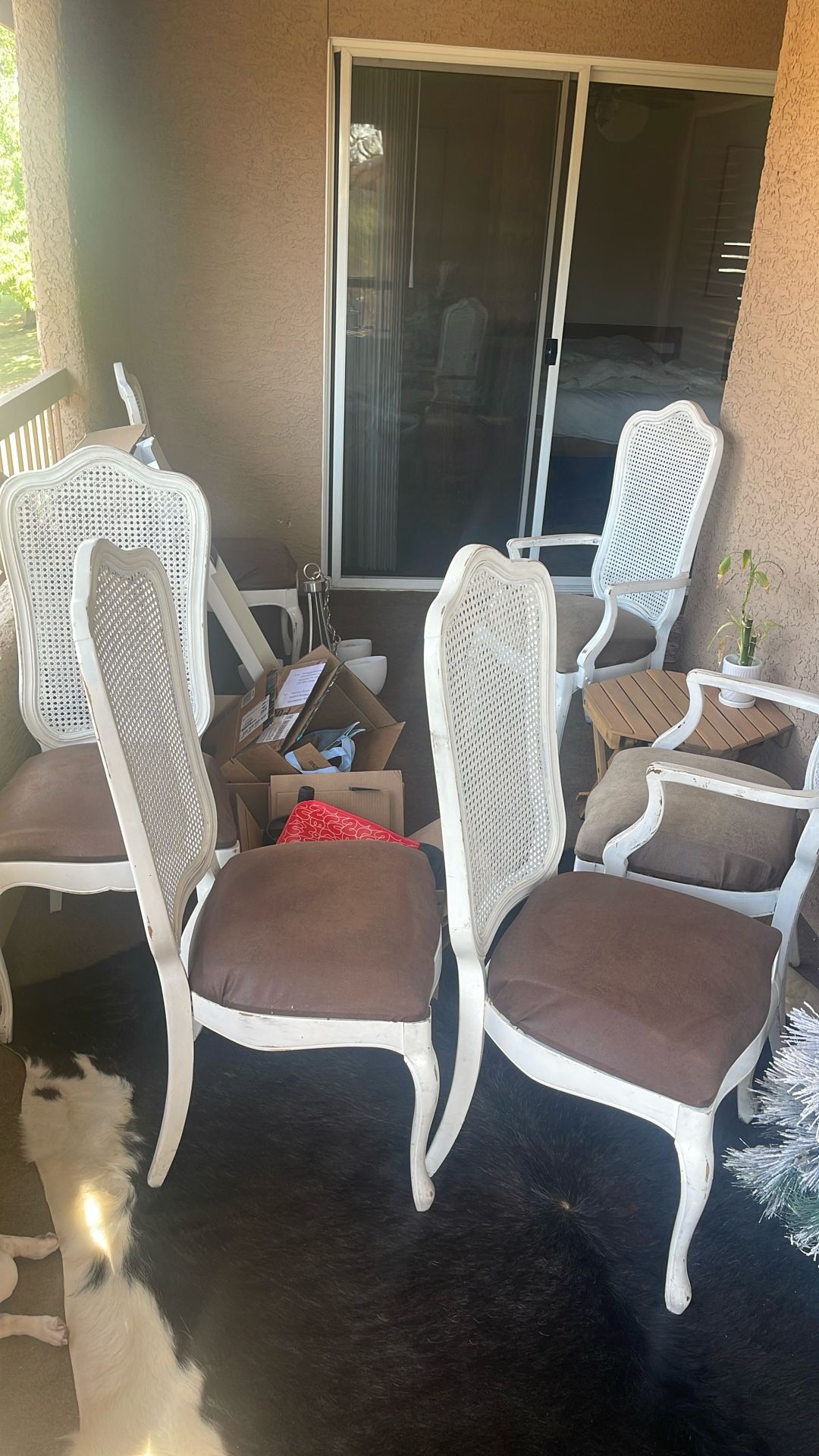 6 Chairs