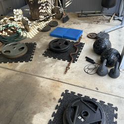 Weights and Exercise Equipment