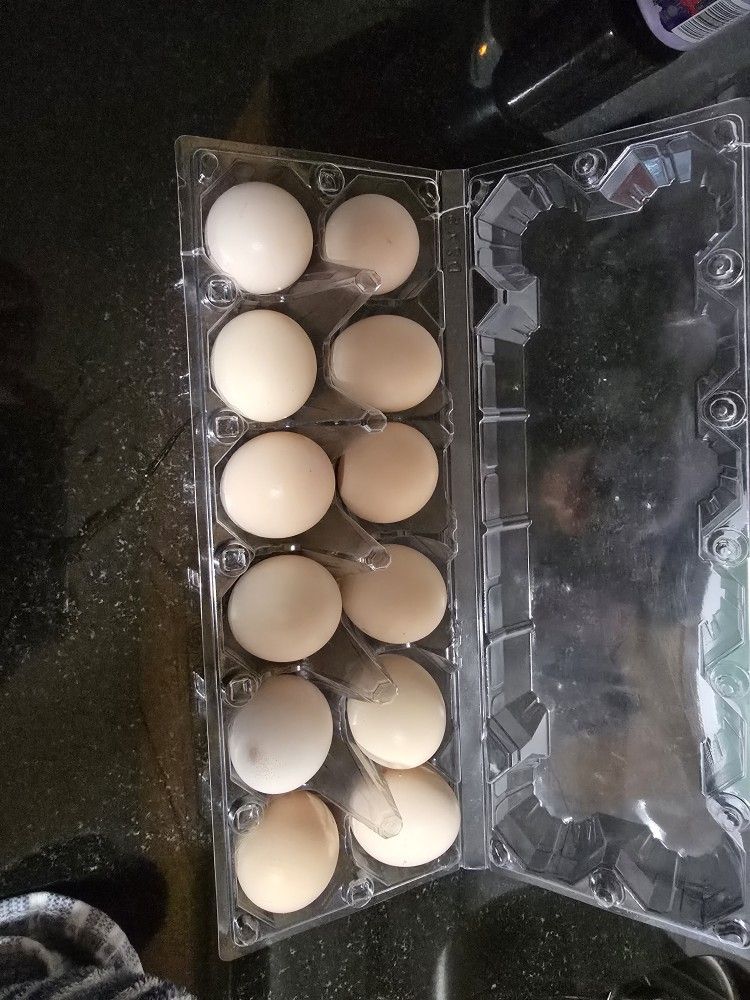 Fresh Eggs