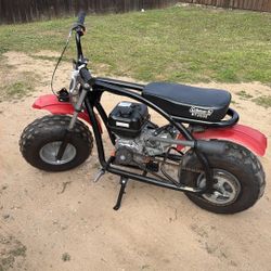 Coleman BT200X 212 Engine 