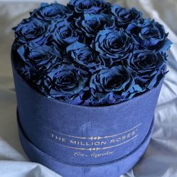 Dried Roses - The Million Roses classic blue in suede box -Used