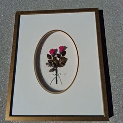 Framed Botanical Art