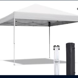 canopy ten 10 x 10