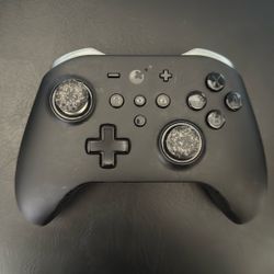 Nintendo Switch Controller 