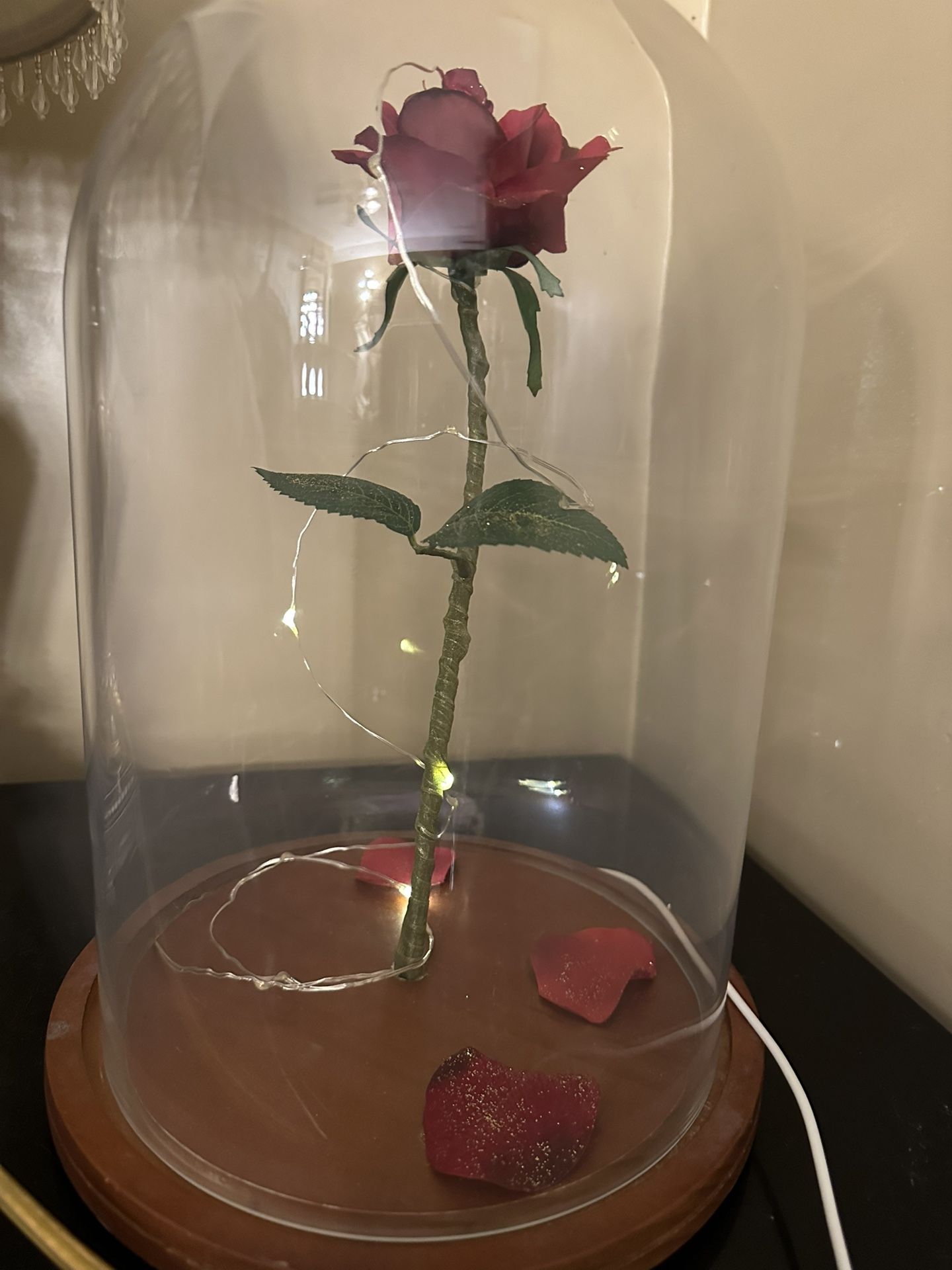 Fallen Rose Beauty And The Beast Large Glass Jar With Cord