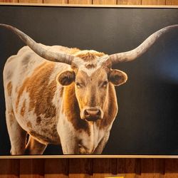 NEW- Longhorn Wall Art 61x40 on SALE!