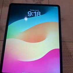 iPad Pro 12.9 Inch 
