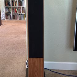 Vienna Acoustics Strauss floor standing speakers 