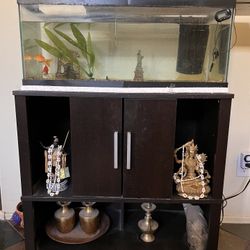 20 G Aquarium And Aquarium Stand