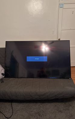 60 Inch Vizio For The Low!