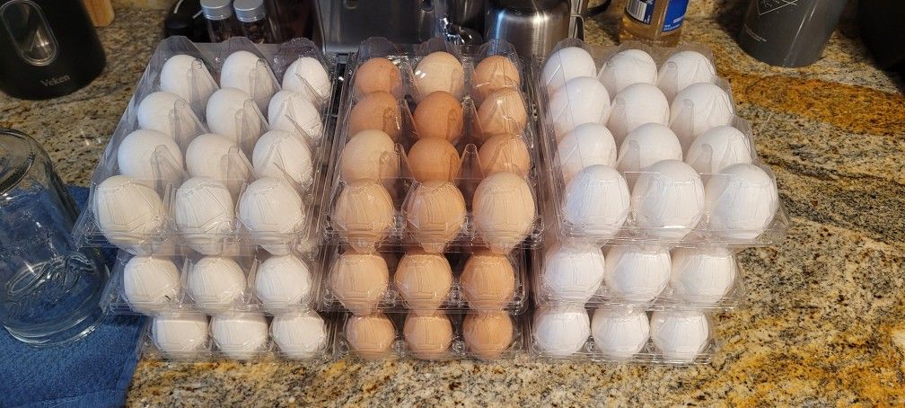 Eggs/ Huevos / Frescos