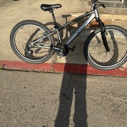 Schwinn ranger 24