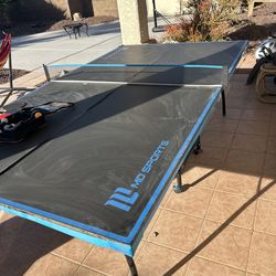 Ping pong table