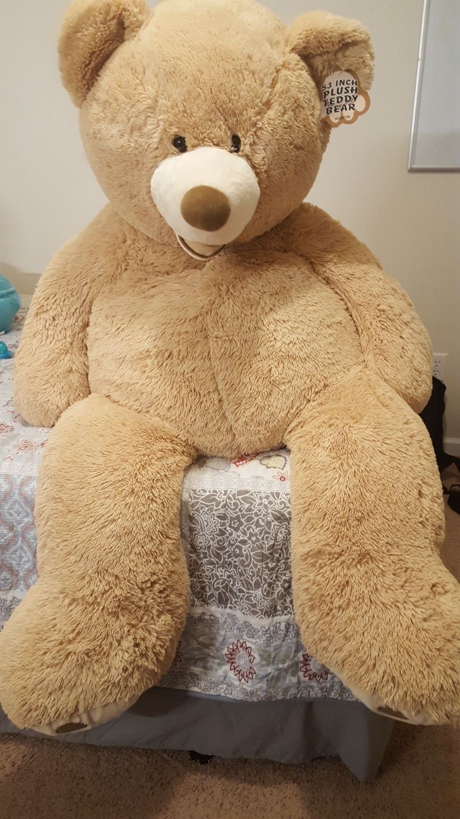 53" Teddy bear - Costco Product