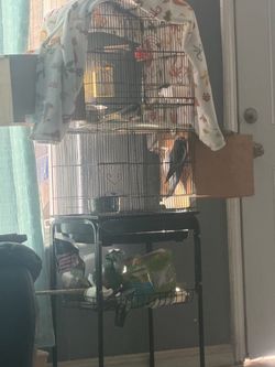 Bird cage