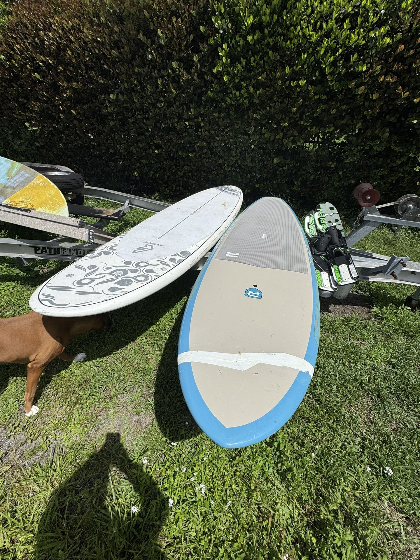 Paddle Boards
