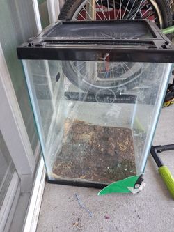 reptile terrarium