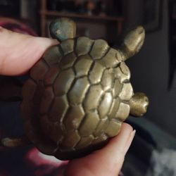 Brass Turtle
