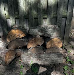 Fire wood